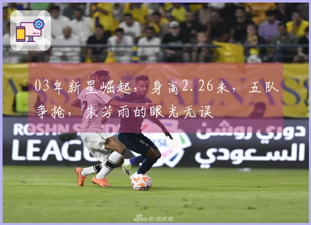 03年新星崛起，身高2.26米，五队争抢，朱芳雨的眼光无误